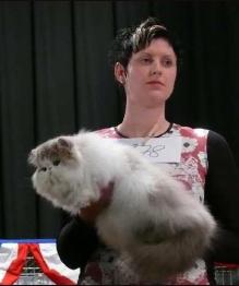 Jokercats Lilac Drops'n Candys" at a show in Forchheim, Germany