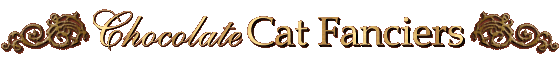 Cat breeders of chocolate and lilac cats